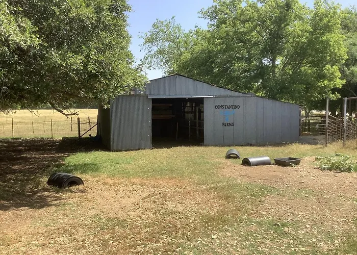Constantino Farms