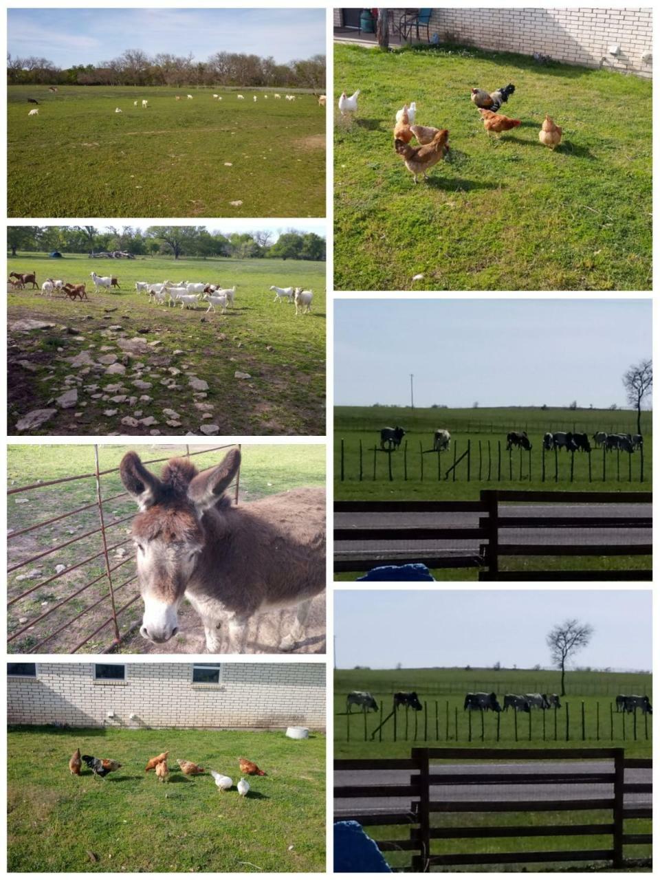 Homestay Constantino Farms Dublin