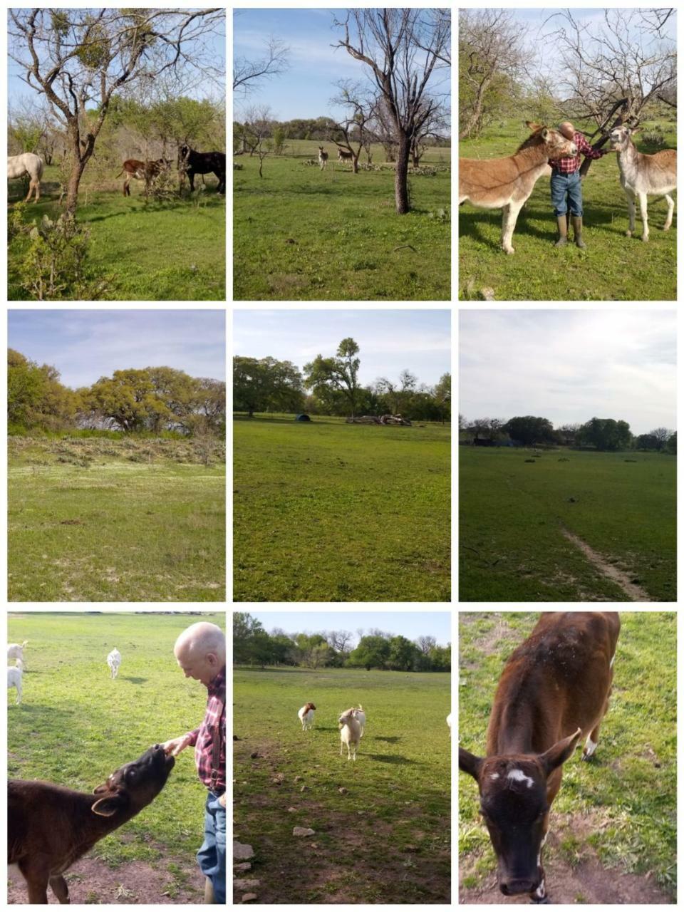 Constantino Farms *